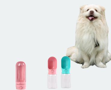 Water Bottle With Bowl